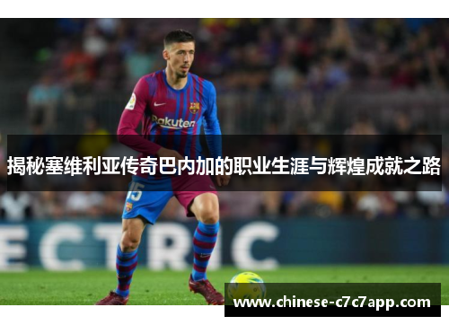 揭秘塞维利亚传奇巴内加的职业生涯与辉煌成就之路