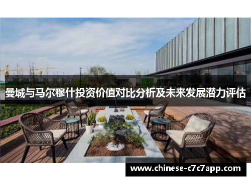 曼城与马尔穆什投资价值对比分析及未来发展潜力评估