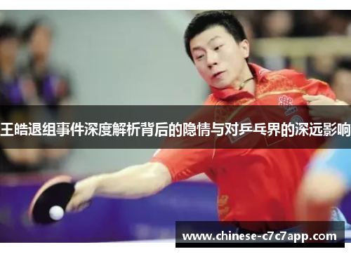 王皓退组事件深度解析背后的隐情与对乒乓界的深远影响 王皓退组事件深度解析背后的隐情与对乒乓界的深远影响