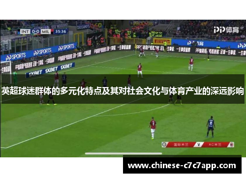 英超球迷群体的多元化特点及其对社会文化与体育产业的深远影响