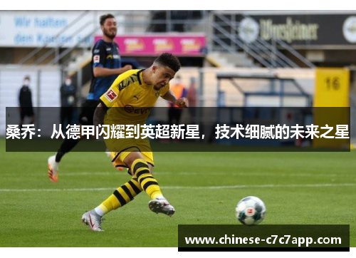 桑乔：从德甲闪耀到英超新星，技术细腻的未来之星