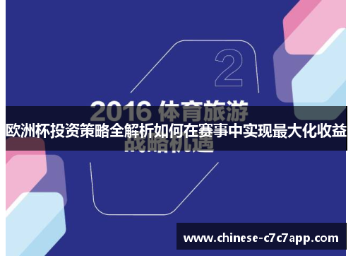欧洲杯投资策略全解析如何在赛事中实现最大化收益